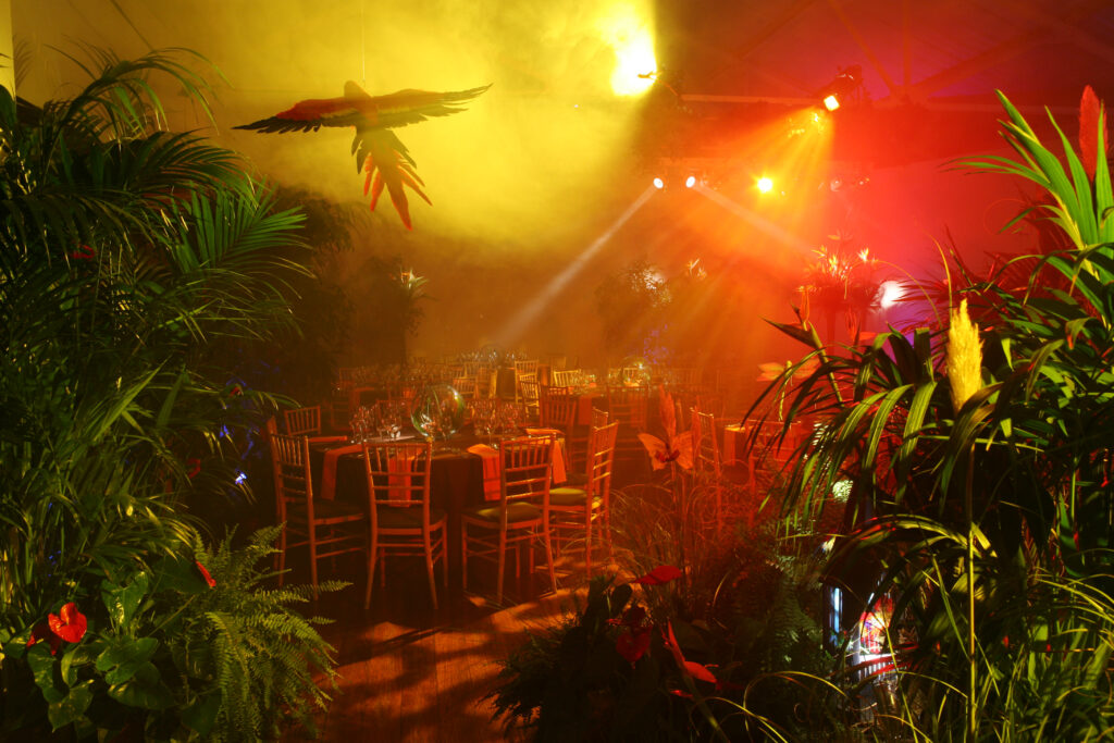 Private Party – Africa Themed